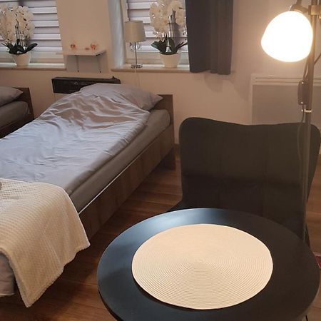 נובי סאוז' Komfortowy Apartament W Centrum Nowego Sacza מראה חיצוני תמונה
