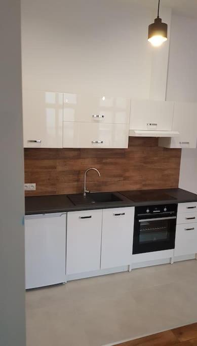 נובי סאוז' Komfortowy Apartament W Centrum Nowego Sacza מראה חיצוני תמונה